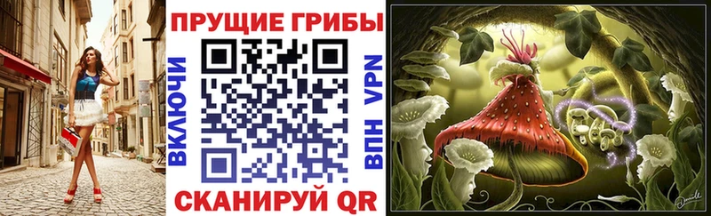 Галлюциногенные грибы прущие грибы  где можно купить наркотик  kraken рабочий сайт  Медынь 